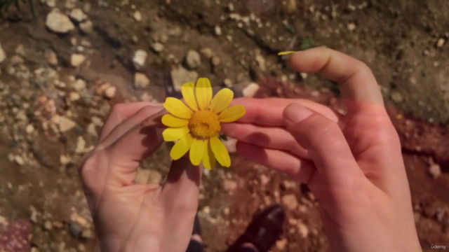 Intuitive Tarot - Love and Relationship Readings – Screenshot 3