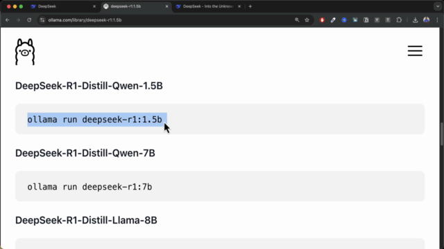 DeepSeek AI R1 & Ollama Guide: Build Local AI Applications – Screenshot 3