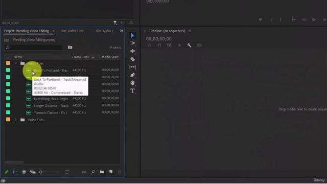 Master Adobe Premiere Pro CC with Hands-On Video Editing – Screenshot 1