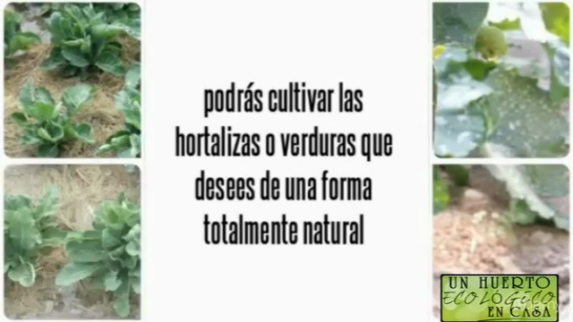 Un huerto ecológico en casa – Screenshot 3