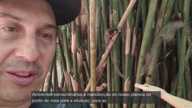 ESG_RUMO A COP 30: BRASIL POTENCIA GLOBAL EM ESG – Screenshot 3