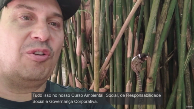 ESG_RUMO A COP 30: BRASIL POTENCIA GLOBAL EM ESG – Screenshot 4