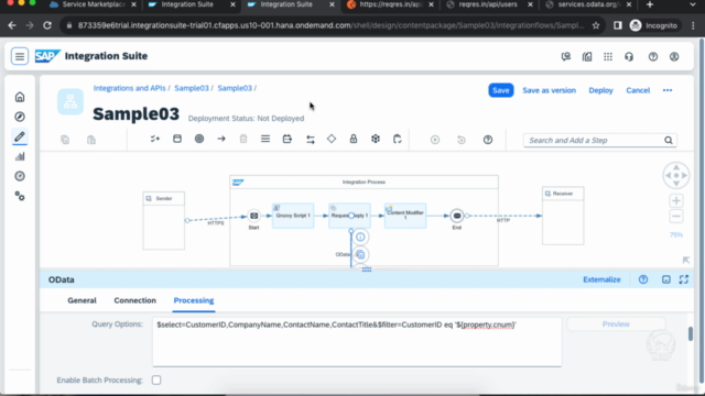Learn SAP® Cloud Integration(BTP CPI/CI) - Getting Started – Screenshot 4