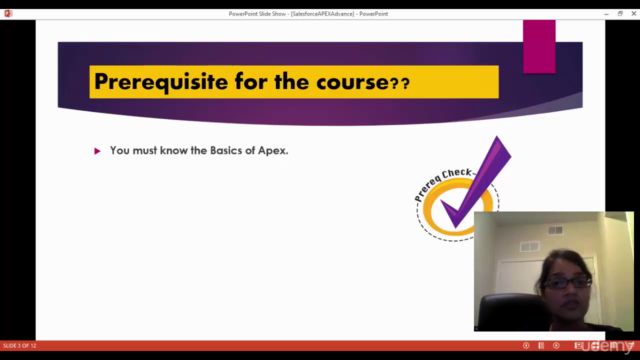 Salesforce Apex-Triggers,Email Service,Batch Processes – Screenshot 3