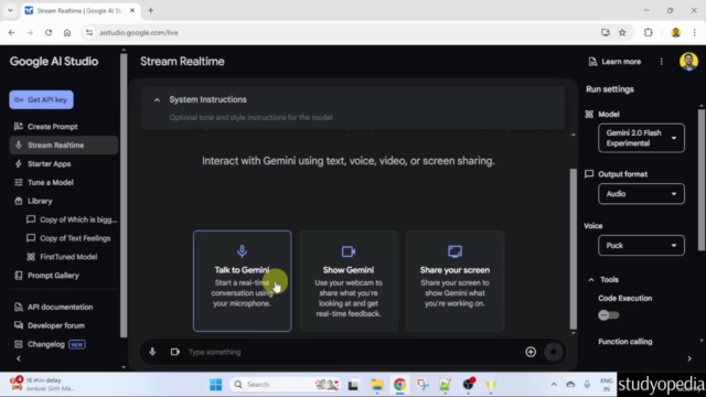 Learn Google AI Studio in 50 minutes – Screenshot 2
