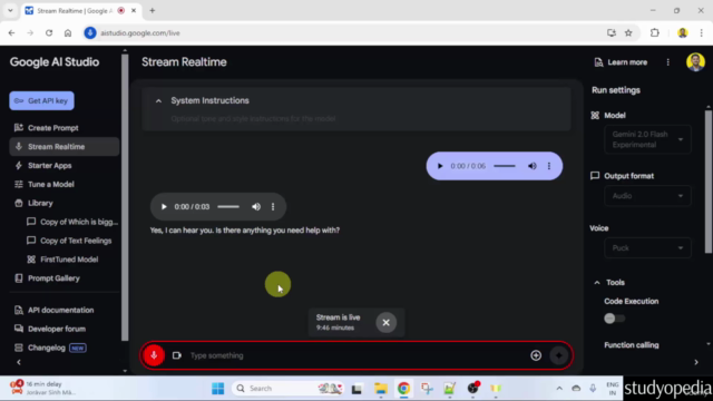 Learn Google AI Studio in 50 minutes – Screenshot 3