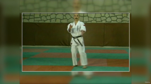 Okinawa Uechi-Ryu Karate-Do von Takemi Takayasu Vol.2 – Screenshot 2