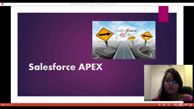 Salesforce Apex Programming Language – Screenshot 1