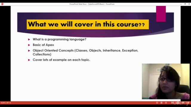 Salesforce Apex Programming Language – Screenshot 2