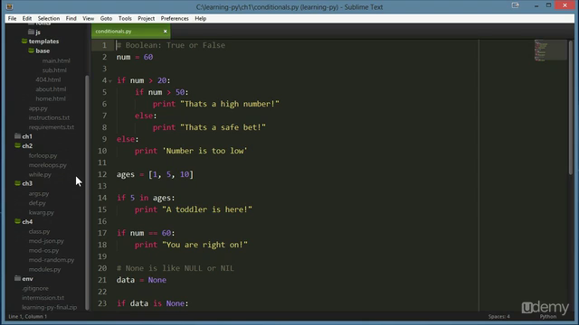 Python for Rookies – Screenshot 3