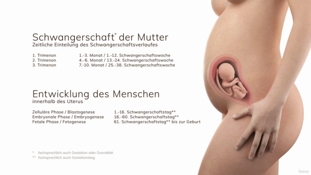 Verlauf und Besonderheiten der Schwangerschaft und Geburt – Screenshot 1