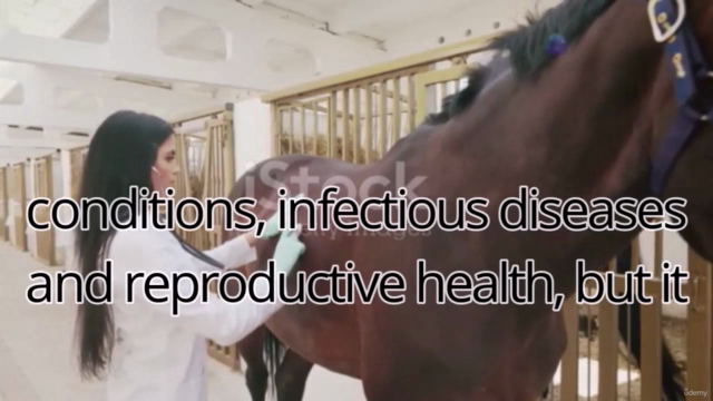 Equine Medicine Addressing Common /Complex Problems – Screenshot 3