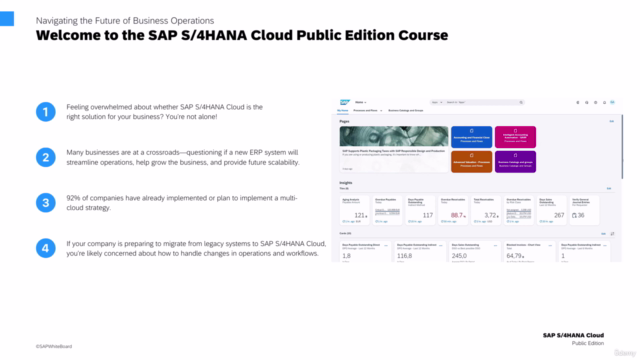 SAP S/4HANA Cloud Public Edition for Absolute Beginners 2025 – Screenshot 1