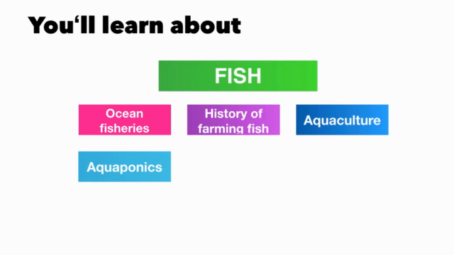 ATOLL PRO: Aquaculture, Aquaponics, Zebrafish, and more – Screenshot 2