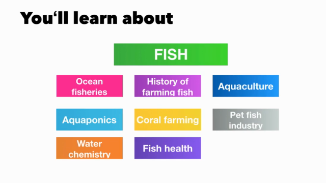 ATOLL PRO: Aquaculture, Aquaponics, Zebrafish, and more – Screenshot 3