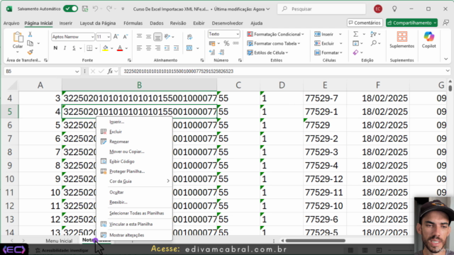 Curso de Excel VBA Importação de XMLs NF-e Passo a Passo – Screenshot 4