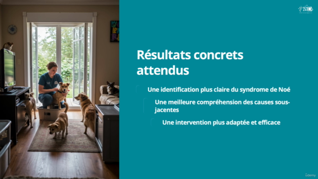 Aider une Personne atteinte du Syndrome de Noé (Hoarding) – Screenshot 4