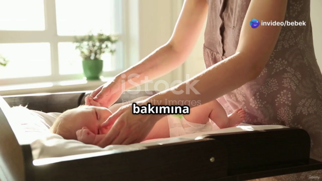 Bebek Bakıcılığı ve Çocuk Bakıcılığı Eğitim Sertifikası – Screenshot 1