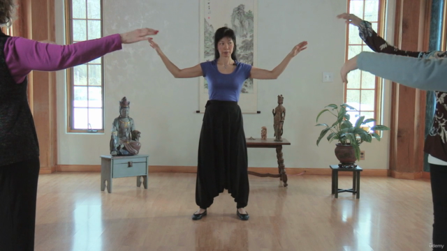 Qigong for Women Lesson 2 w Daisy Lee Radiant Lotus Qi Gong – Screenshot 4