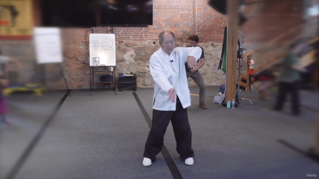 Shaolin White Crane Soft Qigong for Health w Master Yang – Screenshot 1