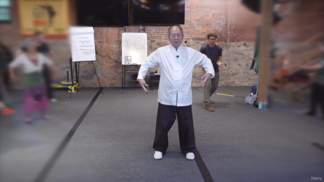 Shaolin White Crane Soft Qigong for Health w Master Yang – Screenshot 3