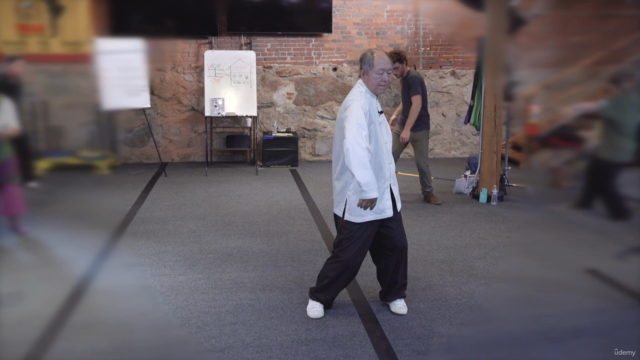 Shaolin White Crane Soft Qigong for Health w Master Yang – Screenshot 4