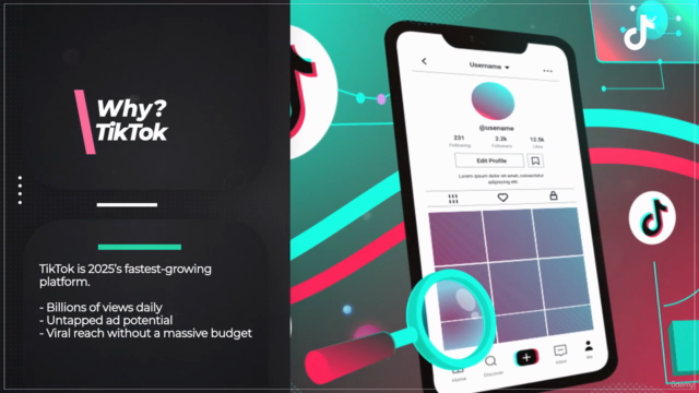 TikTok Ads Mastery: How to Create Viral Campaigns That Sell – Screenshot 1