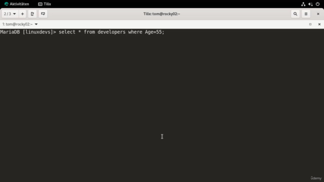 Rocky Linux: Ihr Weg zum Linux System Engineer – Screenshot 3