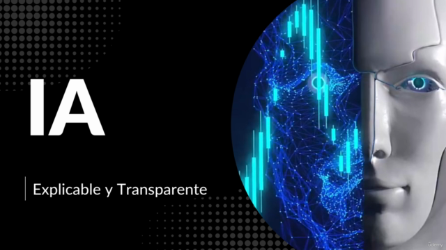 Inteligencia Artificial Explicable y Transparente – Screenshot 1
