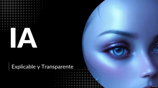 Inteligencia Artificial Explicable y Transparente – Screenshot 3
