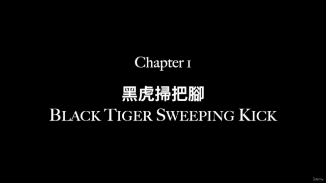 黑虎掃把腳: Black Tiger Sweeping Kick – Screenshot 1