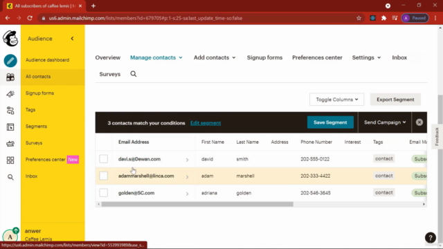 Master MailChimp: Guide to Email Marketing Success – Screenshot 2