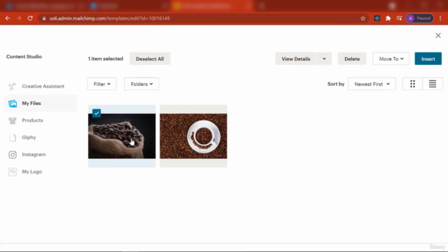Master MailChimp: Guide to Email Marketing Success – Screenshot 3