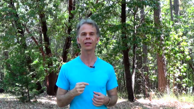 How to Sing High Notes Without Effort – Screenshot 3