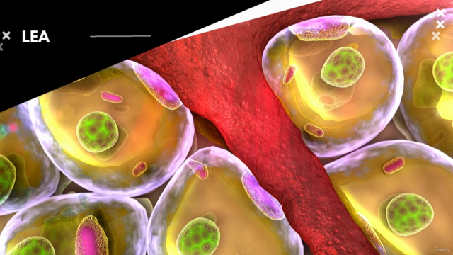 Body Ice Sculpting – Screenshot 1