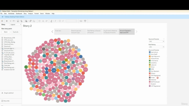 Tableau for AML, Compliance, Risk Management Professionals – Screenshot 3