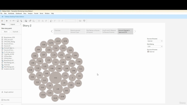 Tableau for AML, Compliance, Risk Management Professionals – Screenshot 4