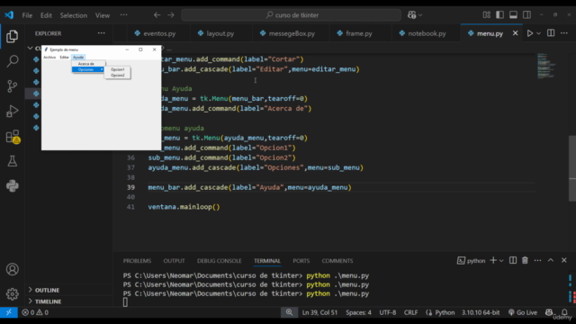 Curso Rápido De Tkinter En Menos De 2 Hora – Screenshot 4