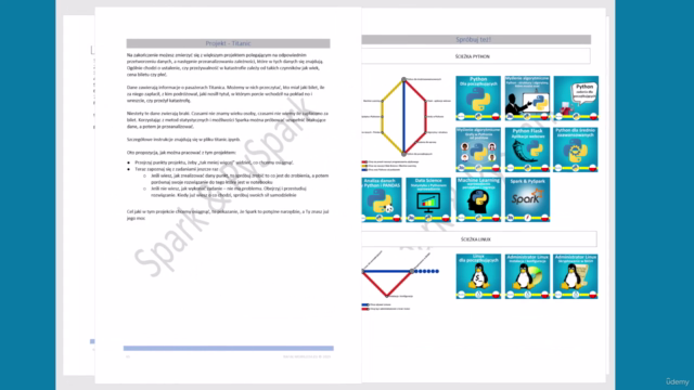 Spark & PySpark – Screenshot 4