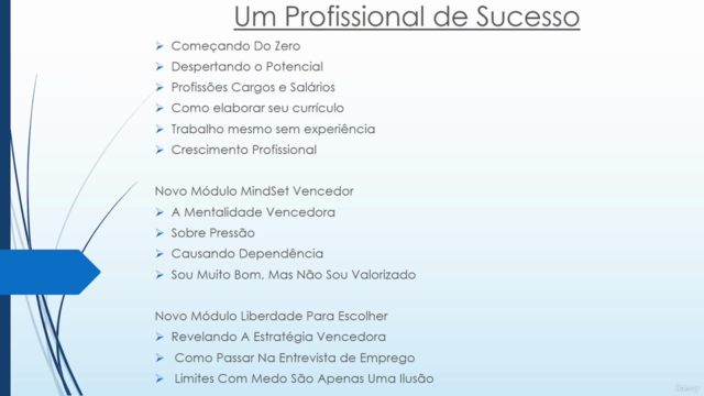 Profissional de Sucesso: Alavancando A Sua Carreira (2025) – Screenshot 4