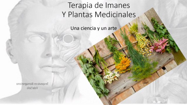 Terapia de imanes y Fitoterapia – Screenshot 1
