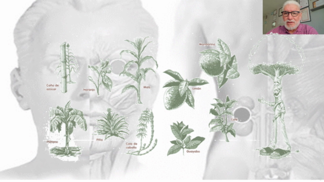 Terapia de imanes y Fitoterapia – Screenshot 2