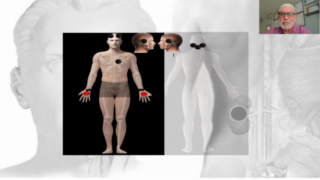 Terapia de imanes y Fitoterapia – Screenshot 3