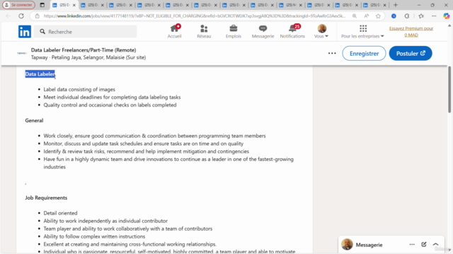 What Does a Data Labeler/Data Annotator Actually Do? – Screenshot 2