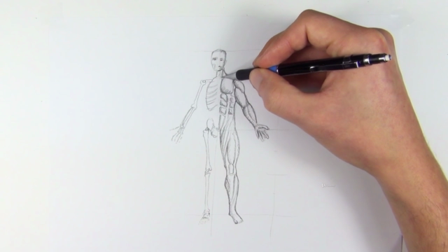 Figuren zeichnen - die Anatomie des menschlichen Körpers – Screenshot 1