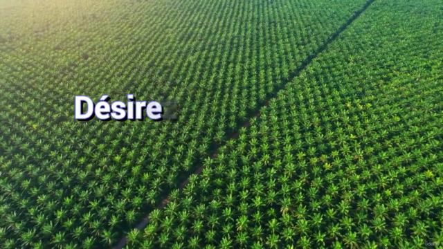 Comment créer une plantation de Palmier à Huile – Screenshot 1