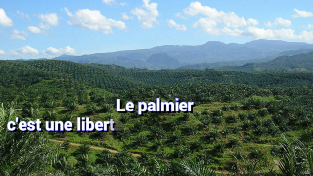 Comment créer une plantation de Palmier à Huile – Screenshot 4