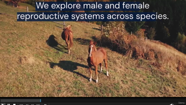Animal Reproduction: Anatomy, Physiology, and Biotechnology – Screenshot 1