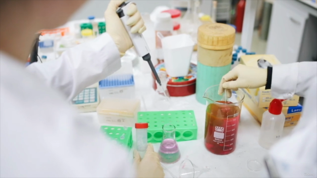 The Complete ISO 13485 QA Course for Medical Devices [2025] – Screenshot 2