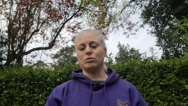 Calm Clinics - keeping animals calm during treatment session – Screenshot 4